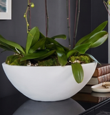 KURIN OVAL | Quad Orchid Planter