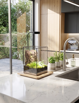 PRISM | Tropical Terrarium