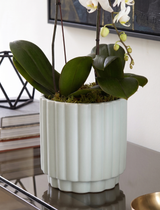 MINT | Double Planter