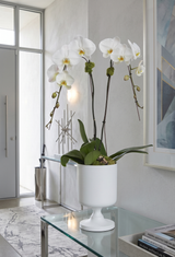 FORMA | Double Planter