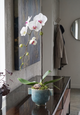 OPAL | Single Planter