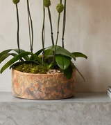 MOAB | Double Planter