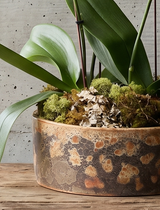 MOAB | Single Planter