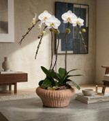GILD BOWL | Triple Planter