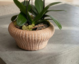 GILD BOWL | Triple Planter