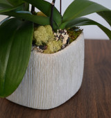 AVA | Double Planter