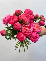OD RESERVE CUT NO. 03 CORAL PEONY
