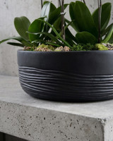 RIVEO | Quad- Five Planter