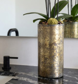 EMBER | Compact Orchid
