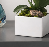 MOD DESIGN CUBE | Single Orchid Planter