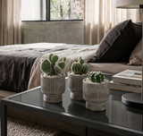 TRIO (Seasons Best Succulent Planters)