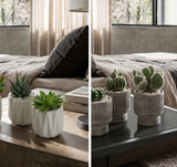 TRIO (Seasons Best Succulent Planters)