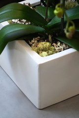 MOD DESIGN CUBE | Triple Planter