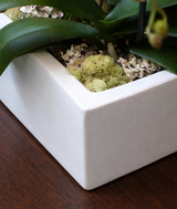 MOD DESIGN CUBE | Triple Planter