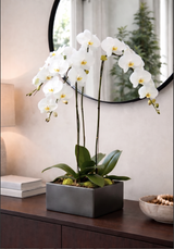 MOD DESIGN CUBE | Triple Planter