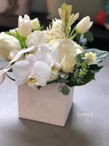 Blanco Collection