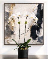 CLASSIC DESIGN | Double Planter