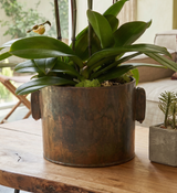 HARA| Triple Orchid Planter