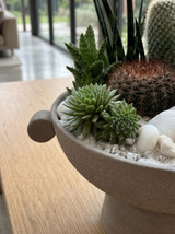 ESOTERRA | Succulent Planter