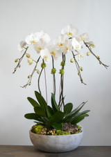 CEMENT | Quad Planter