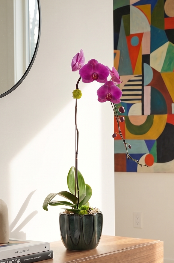 JADE | Single Planter