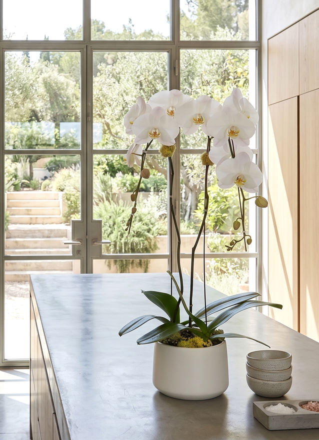 SISU | Double Planter