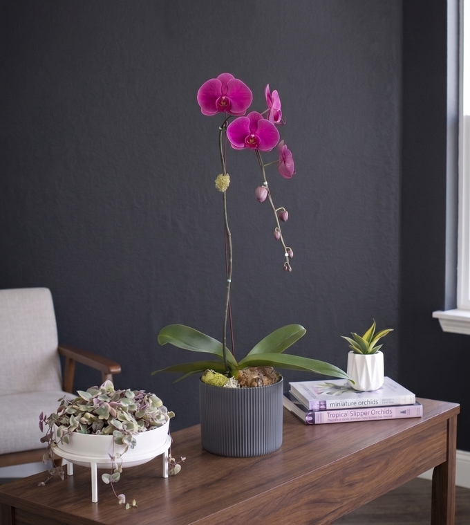 CERCLE | Single Planter
