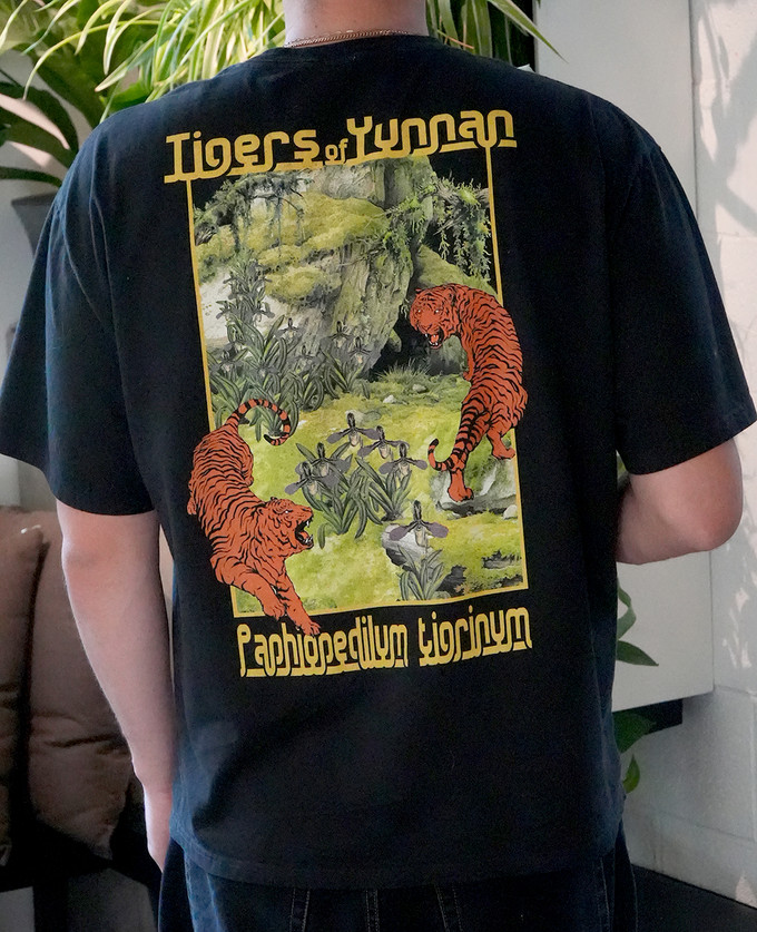 Paphiopedilum tigrinum | Tigers of Yunnan 2025 Souvenir T-shirt Paphiopedilum tigrinum | Tigers of Yunnan 2025 Souvenir T-shirt