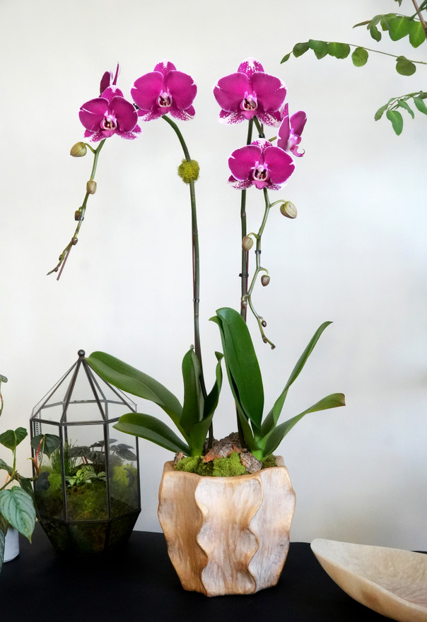 MILANO | Double Planter