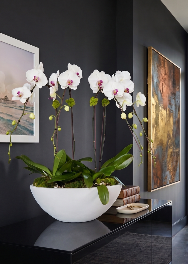 KURIN OVAL | Quad Orchid Planter
