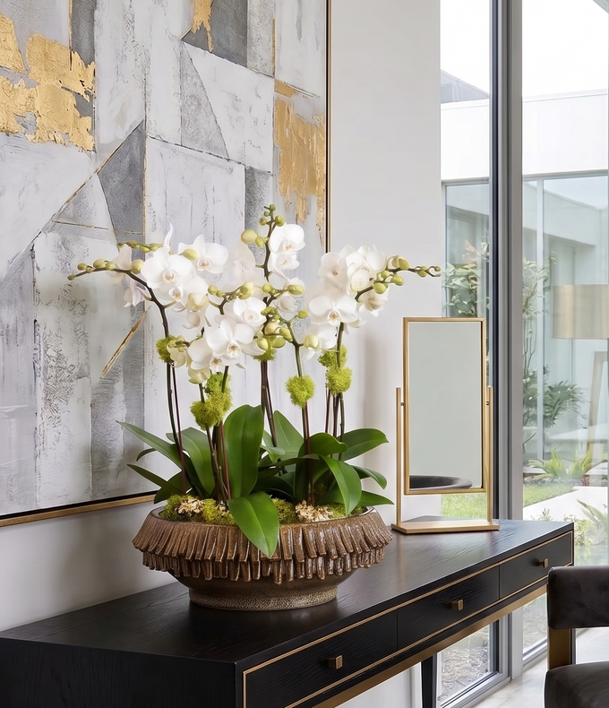 FRINGE | Compact 5 Orchid Planter