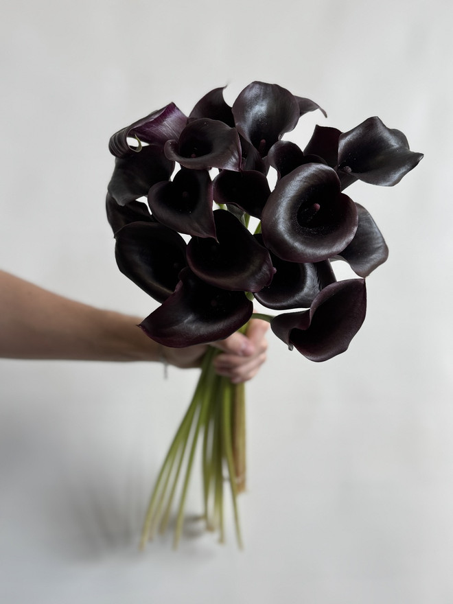 OD RESERVE CUT NO. 01 BLACK CALLAS