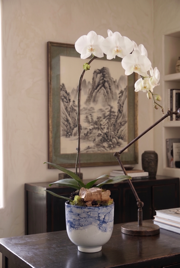 AZURE | Single Planter