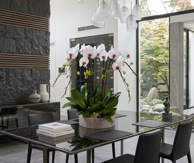 CEMENT | Limited 7 orchid planter