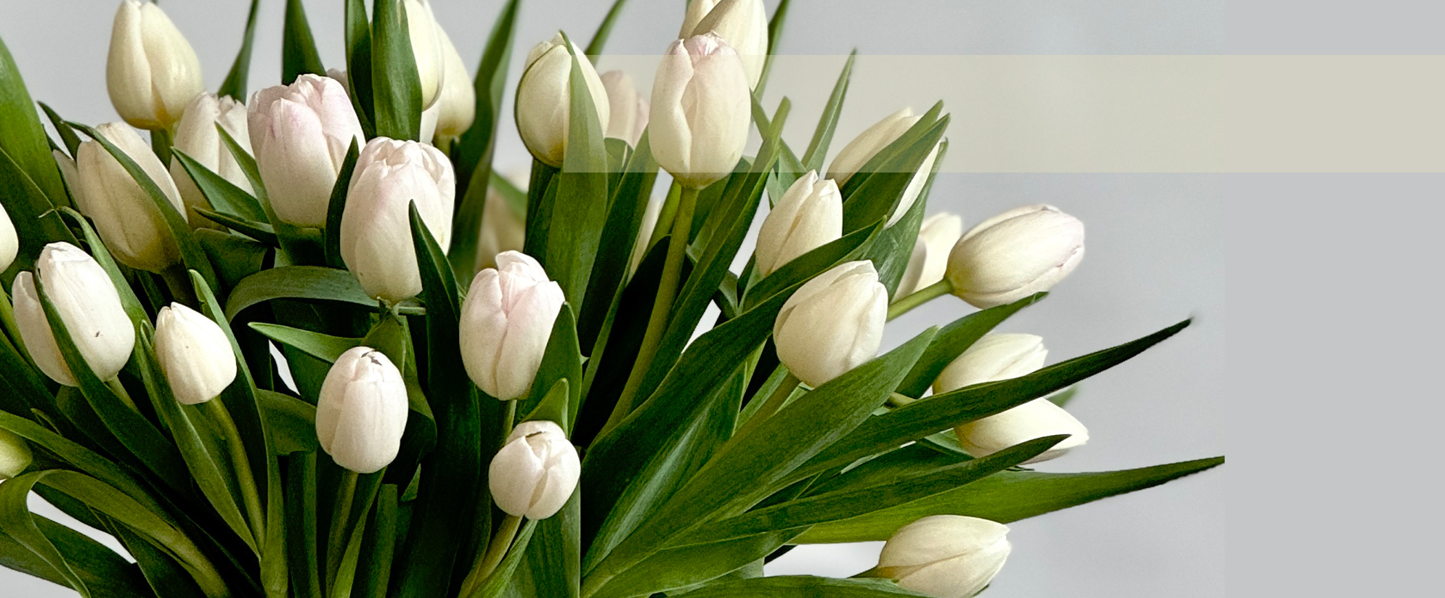 fresh-flower-thumb.jpg