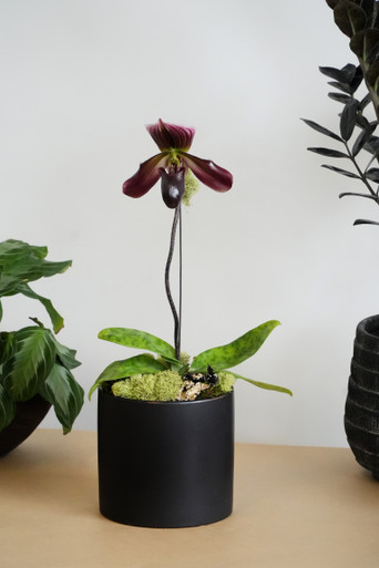 DSC06815__30070.1741295559.386