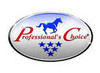 Professional's Choice