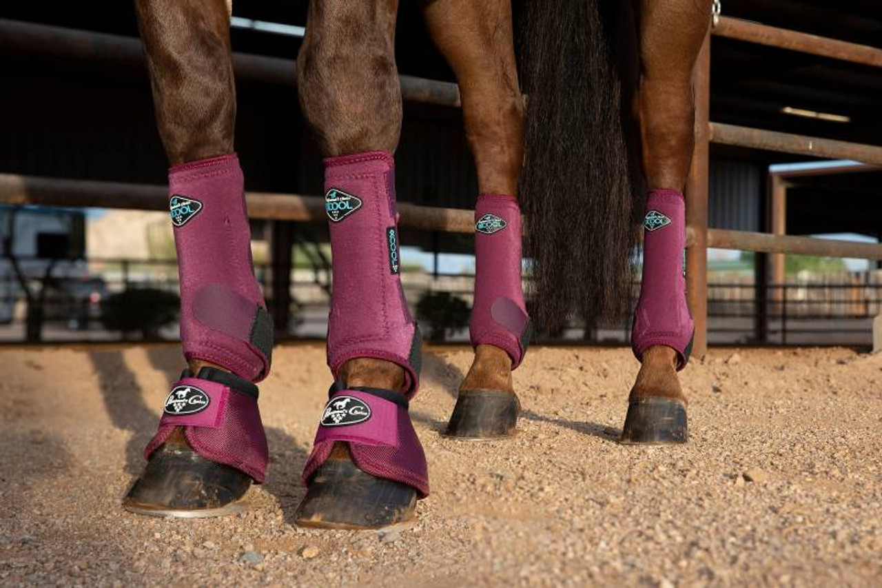 How to put on tendon boots by Team Horsemart