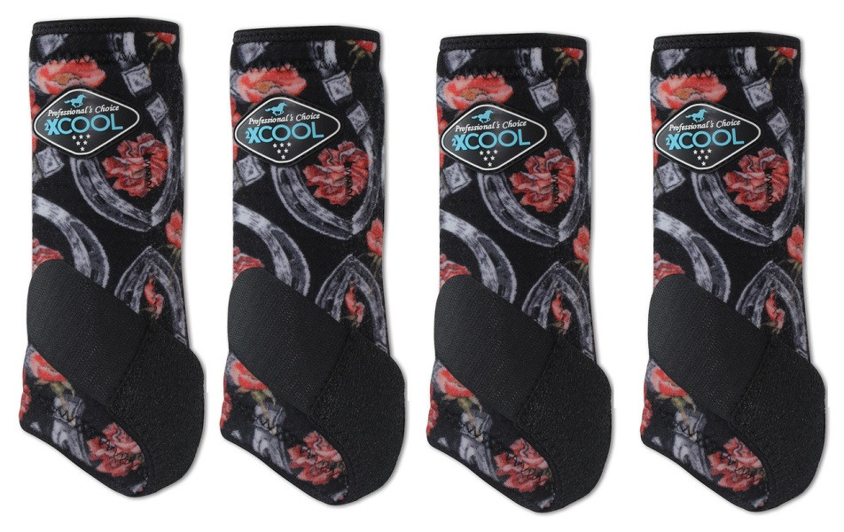 Shop Discount Horse Supplies Your Best Choice