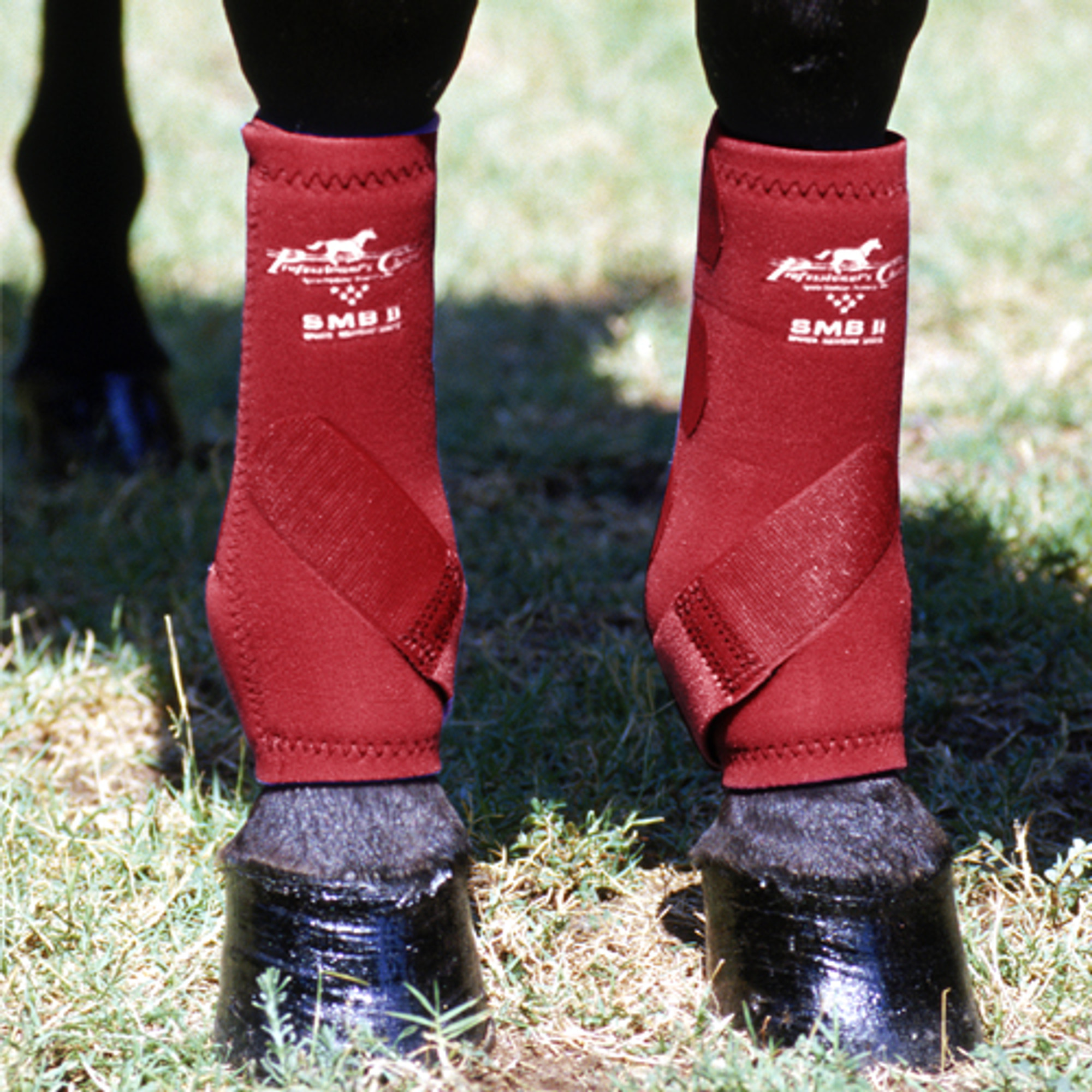 medicine boots for horses