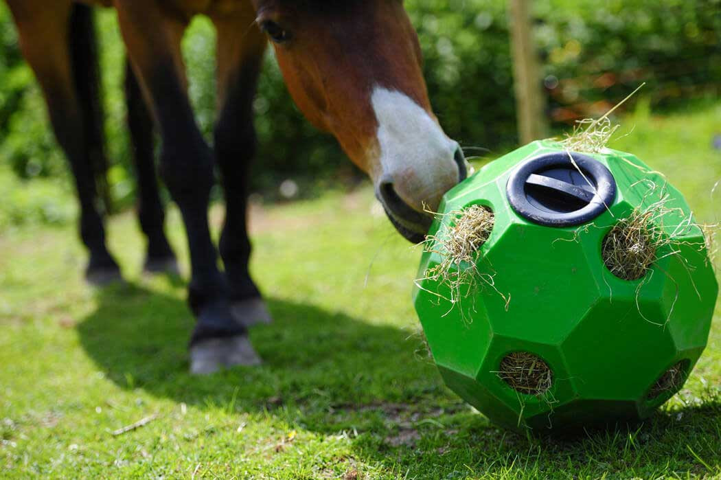 hay balls for horses