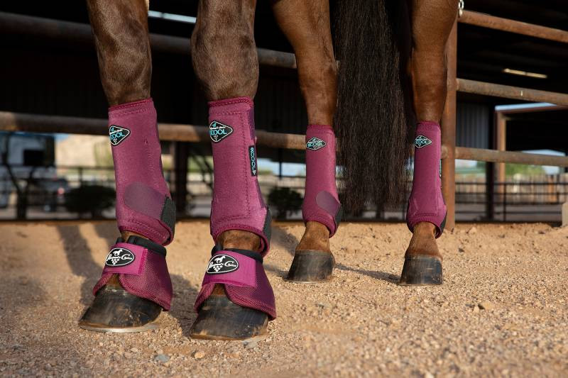 Buy > horse sport boots 4 pack > in stock