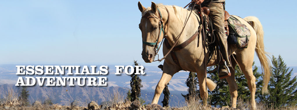Shop Discount Horse Supplies Your Best Choice