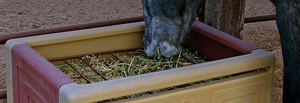 Shop Discount Horse Supplies Your Best Choice