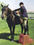 High Country Plastics 2 Step Horse Mounting Block; a great step and best seller; Tan 