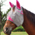 Cashel Animal Rescue Crusader Premium Fly Mask in Standard with Ears Style; color Hot Pink
