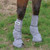 Here is a set of grey Cashel Leg Guards shown on a horse.  Leg Guards are used to bring comfort to your horse during fly season; they also help reduce chances of leg injury and hoof abscess caused from deep bruising caused by your horse popping it's leg on the ground to remove flies.  