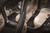 3D Maxpider 19-22 Dodge Ram 1500 Crew Cab w Bucket Front Row Elegant 1st 2nd Row - Set (Black) - L1DG02804709 Photo - Mounted