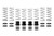 Eibach 15-16 Polaris RZR Pro-UTV - Stage 2 Performance Spring System (Set Of 8 Springs) - E85-209-005-07-22 Photo - Primary