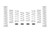Eibach 15-16 Can-Am Maverick Pro-UTV - Stage 2 Performance Spring System (Set Of 8 Springs) - E85-212-002-02-22 Photo - Primary